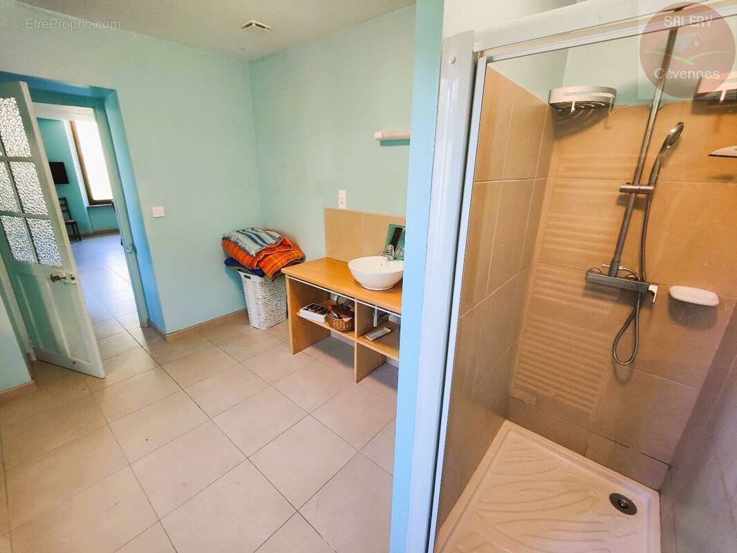 Maison à SAINT-ANDRE-DE-VALBORGNE