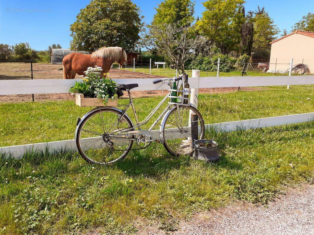 Maison à SAINT-QUENTIN-LA-POTERIE