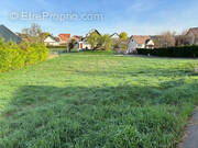 Terrain à RANTZWILLER