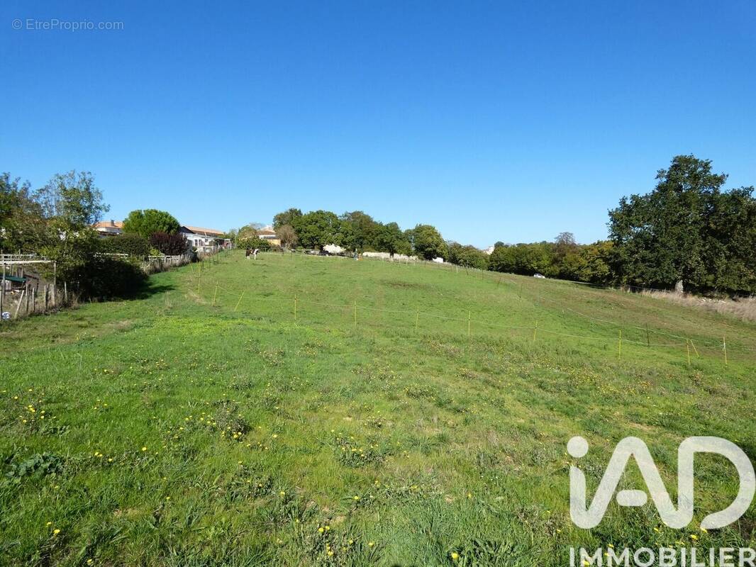 Photo 1 - Terrain à AUZAY