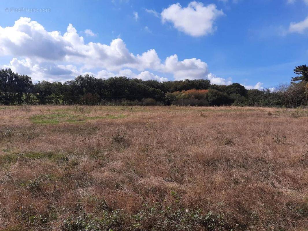 Terrain à AUBIET
