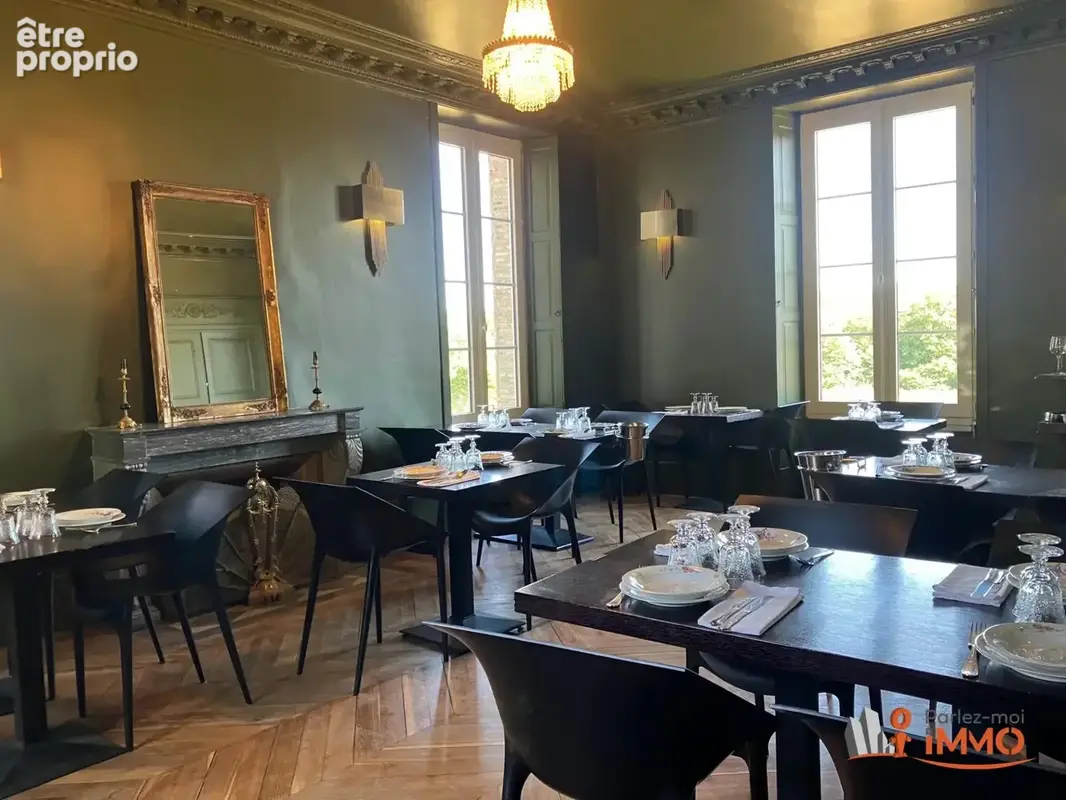 Magnifique château rénové, terrain 9100m2 - photo 4