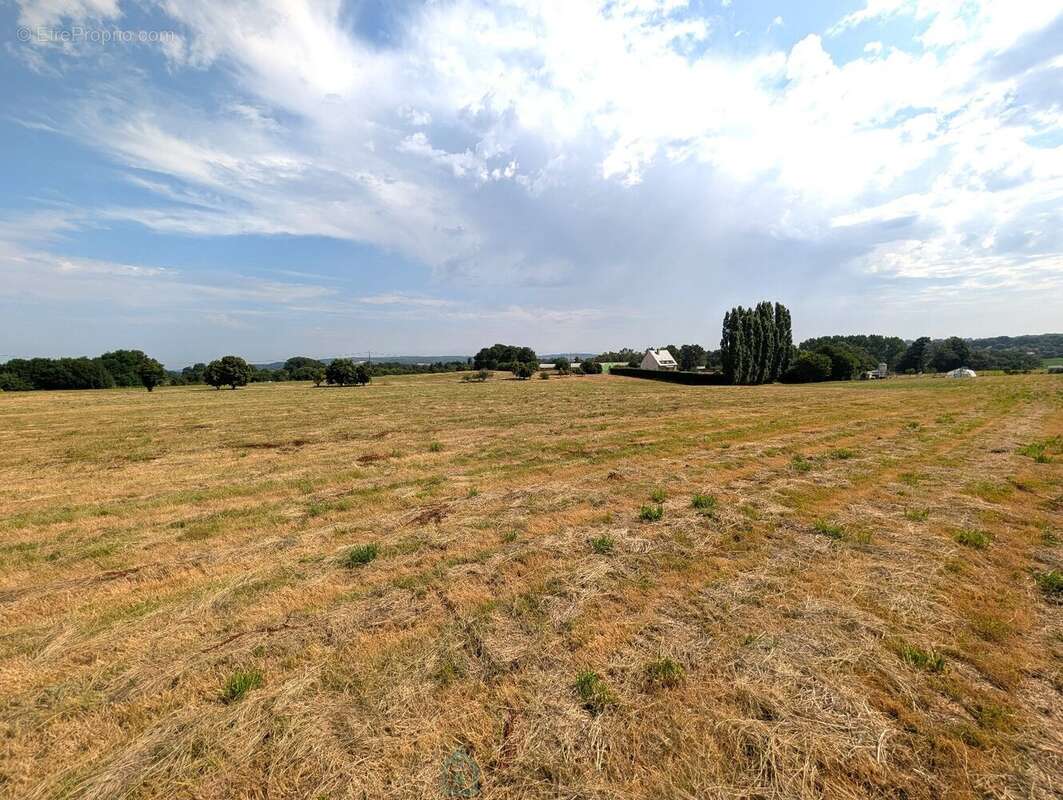 Propriété sur 27 hectares, maison 179 m2, bâtiments de 700 m2 salle de réception et 600 m2 garage - photo 26