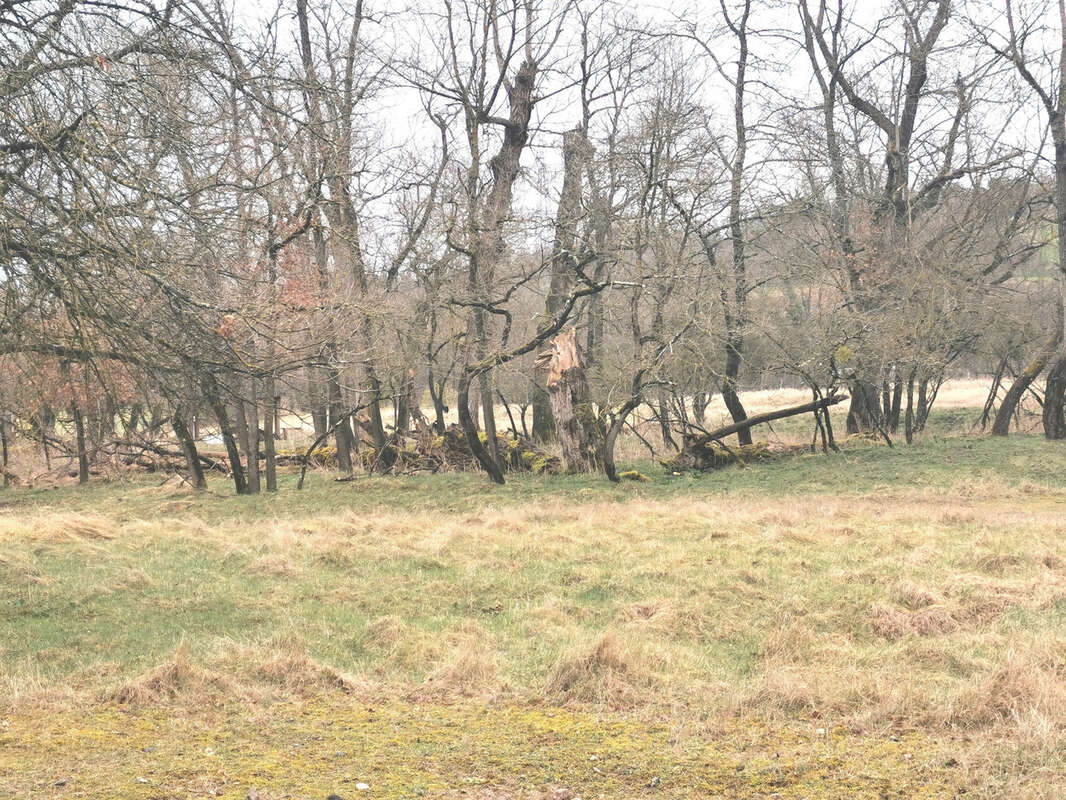 Terrain à SAINT-GERMAIN-DES-FOSSES