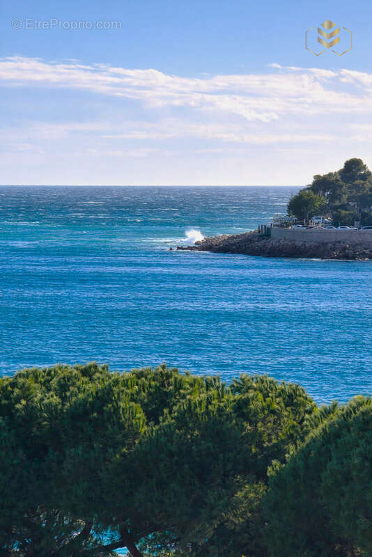 Appartement à ROQUEBRUNE-CAP-MARTIN