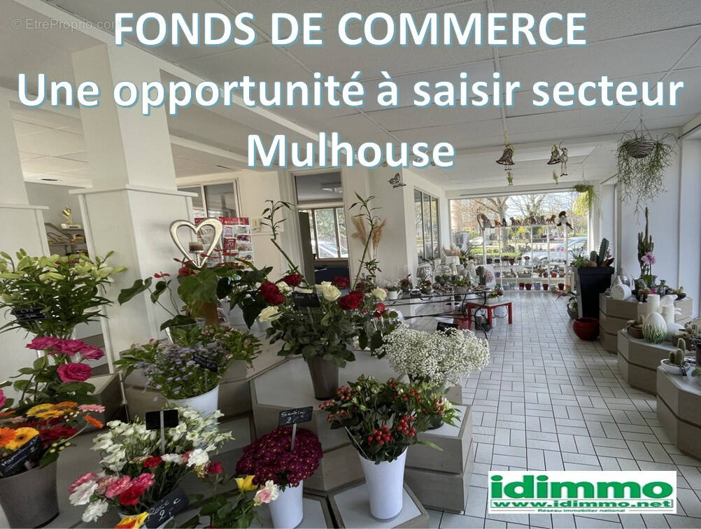 Commerce à MULHOUSE