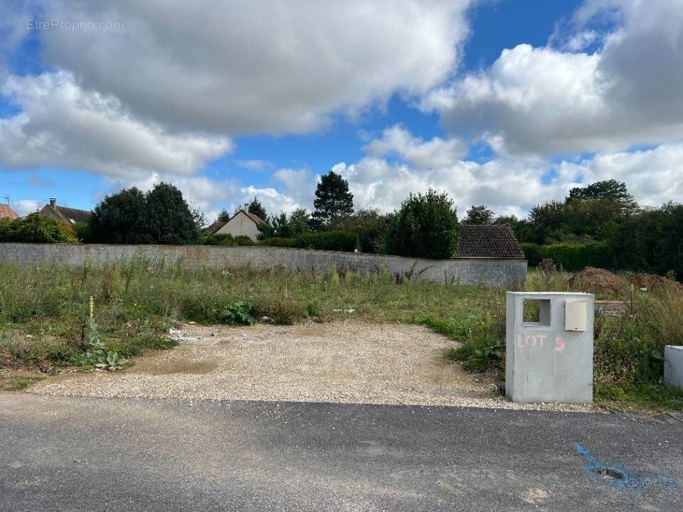 Terrain à MAROLLES-SUR-SEINE
