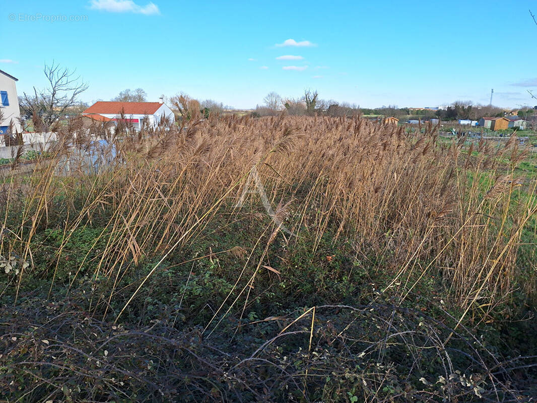 Terrain à LA TRANCHE-SUR-MER