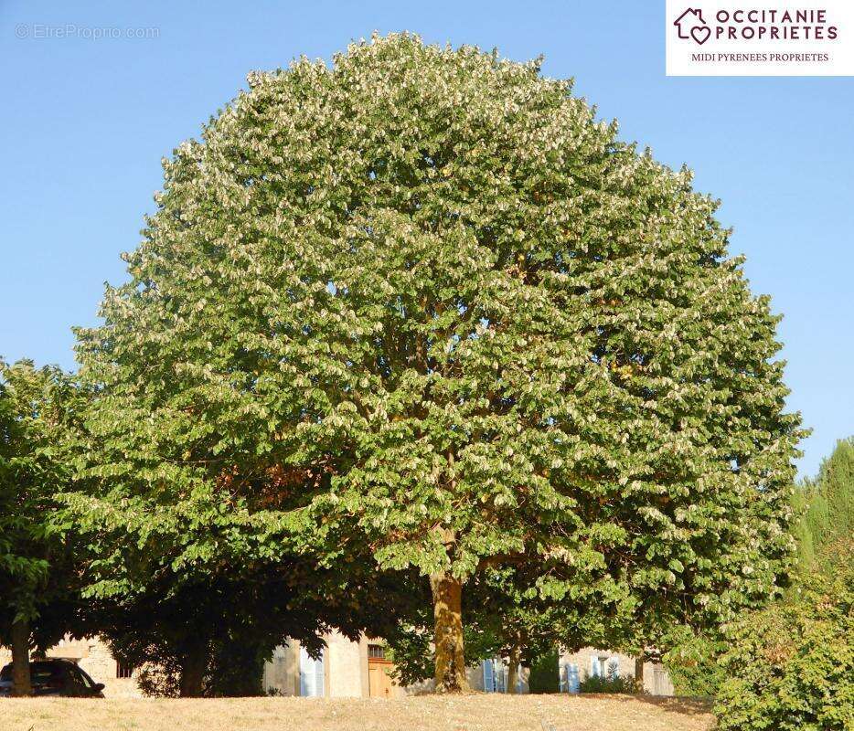 Maison à VILLEFRANCHE-DE-LAURAGAIS