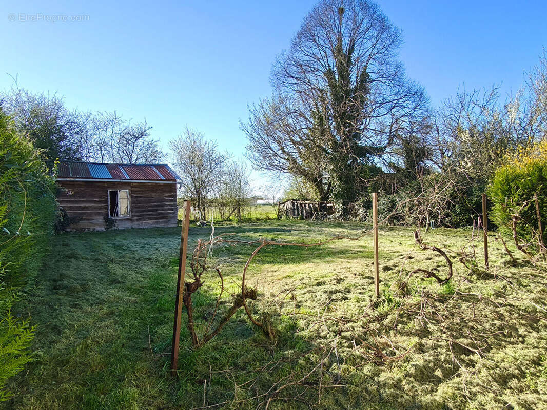 Maison 96m² à chaunay - photo 16