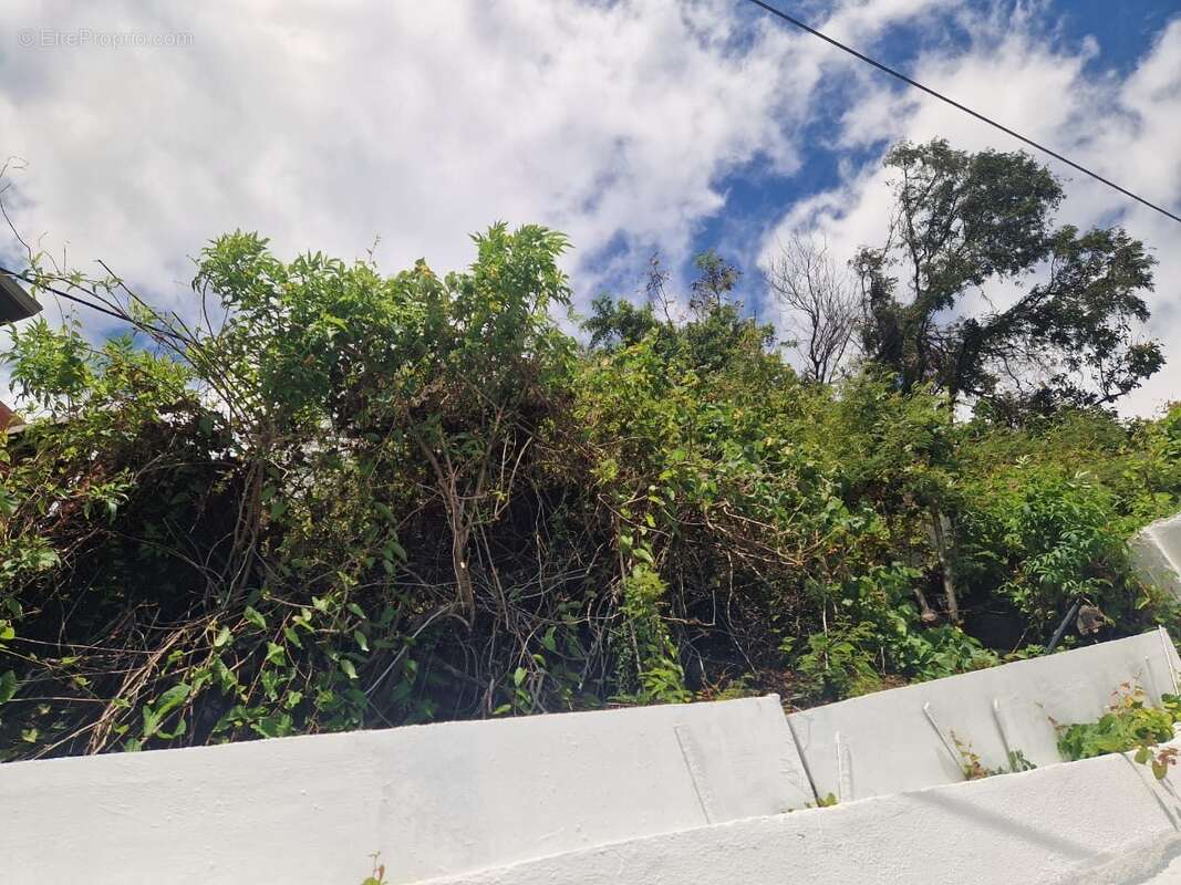 Terrain à SAINT-DENIS