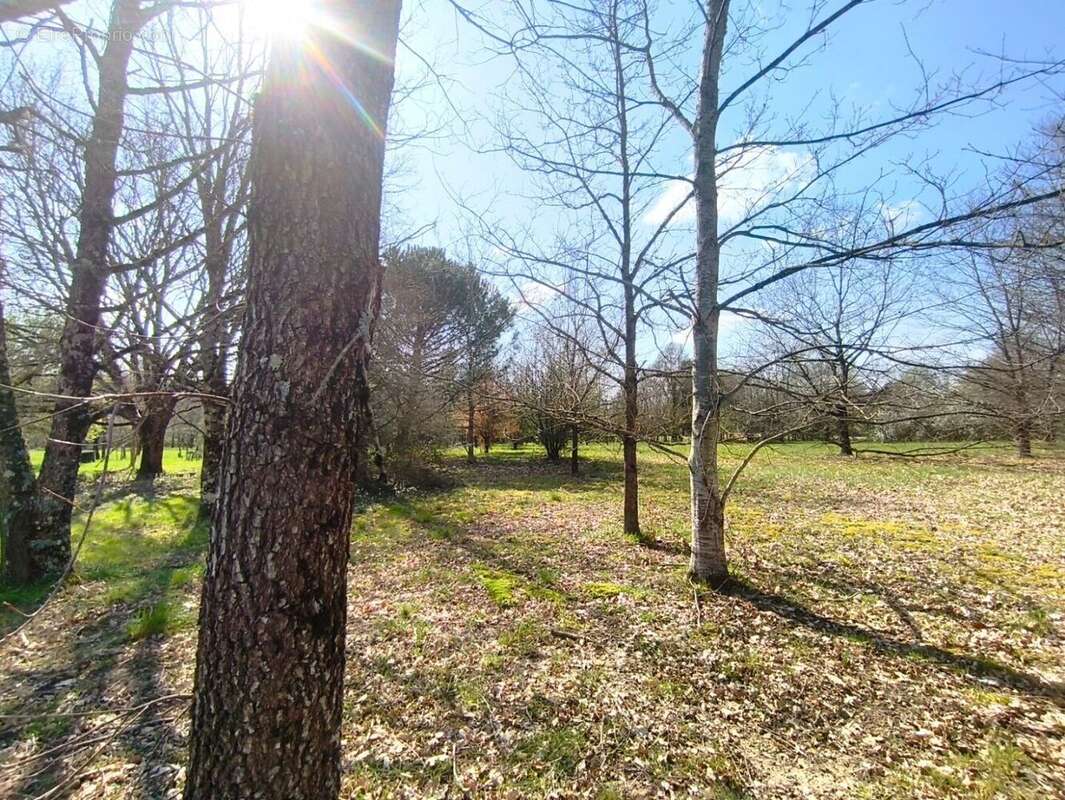 Terrain a batir negrepelisse - photo 7