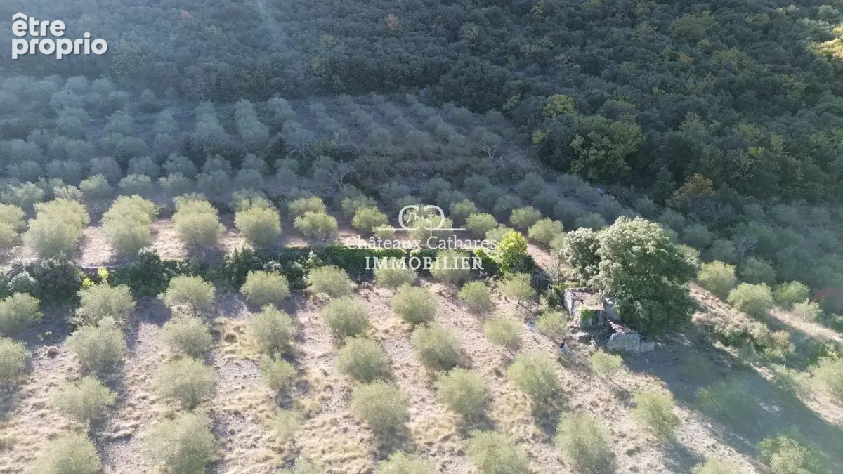 Terrain 51314 m² à Saint-Paul-De-Fenouillet  - photo 2