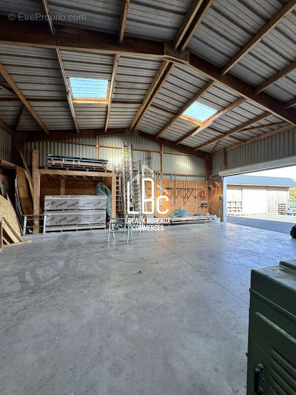 Commerce à LES TOUCHES