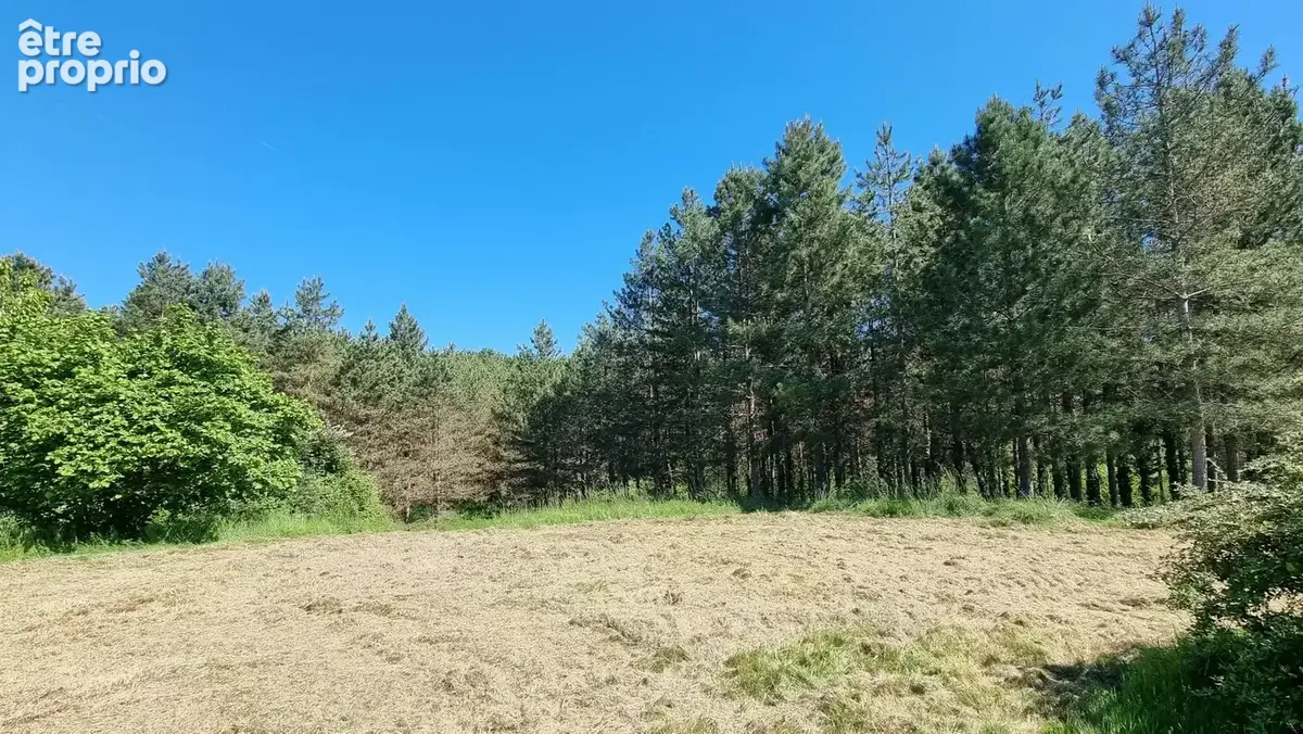 Maison en pierre avec dépendances et 4,8 hectares — Gros potentiel entre Monségur et La Réole - photo 13