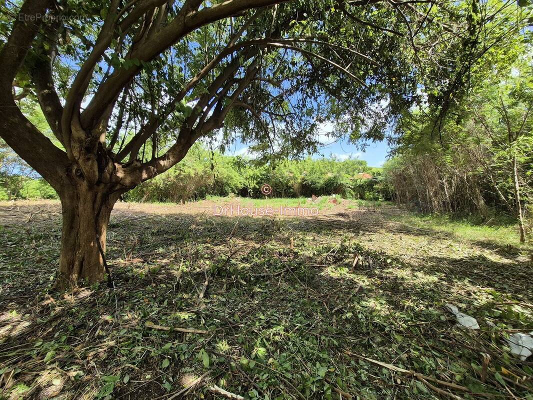 Terrain à LE VAUCLIN