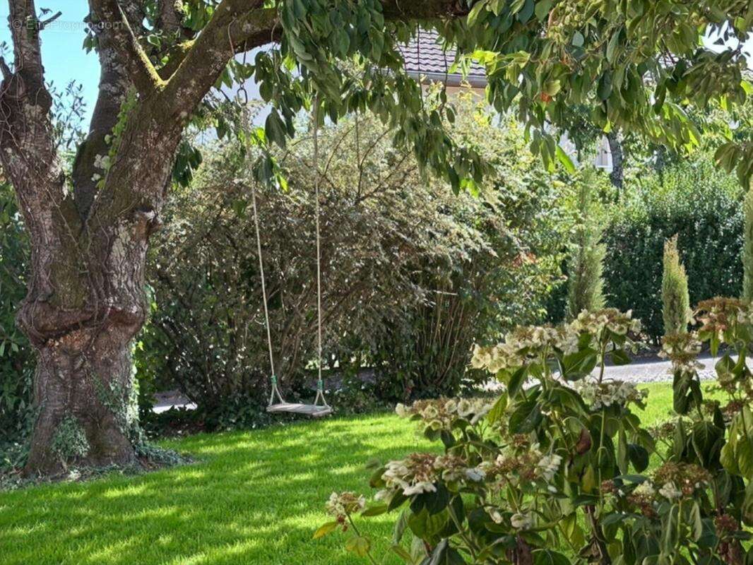 Morschwiller le bas, maison 134 m2, 4 chambres, 2 bains  sur joli terrain 606 m2 - photo 2