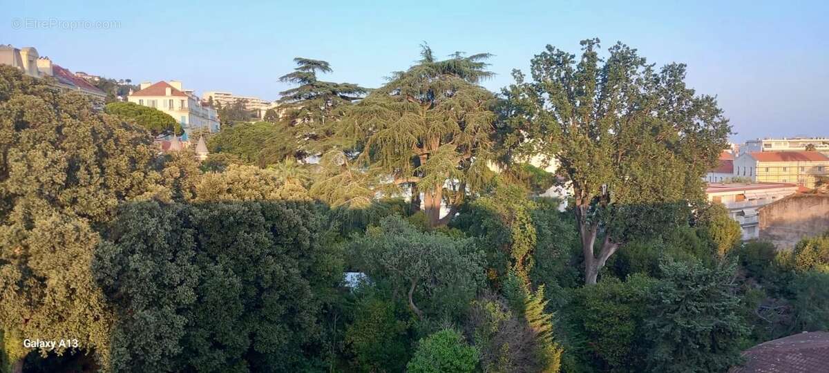 Cannes – Basse Californie. - photo 2