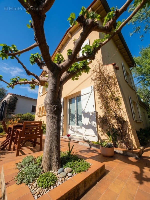 Maison à MONTPELLIER