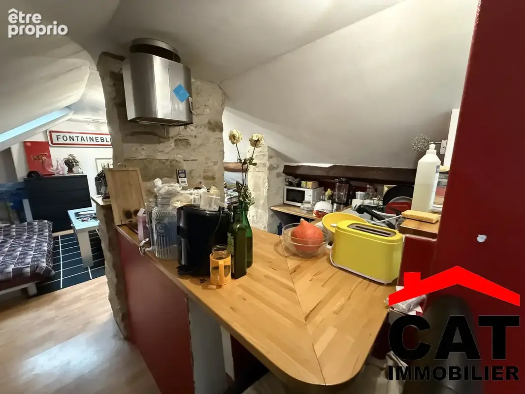Appartement 2 pièces 20 m² à vendre à Fontainebleau (77300) - photo 4