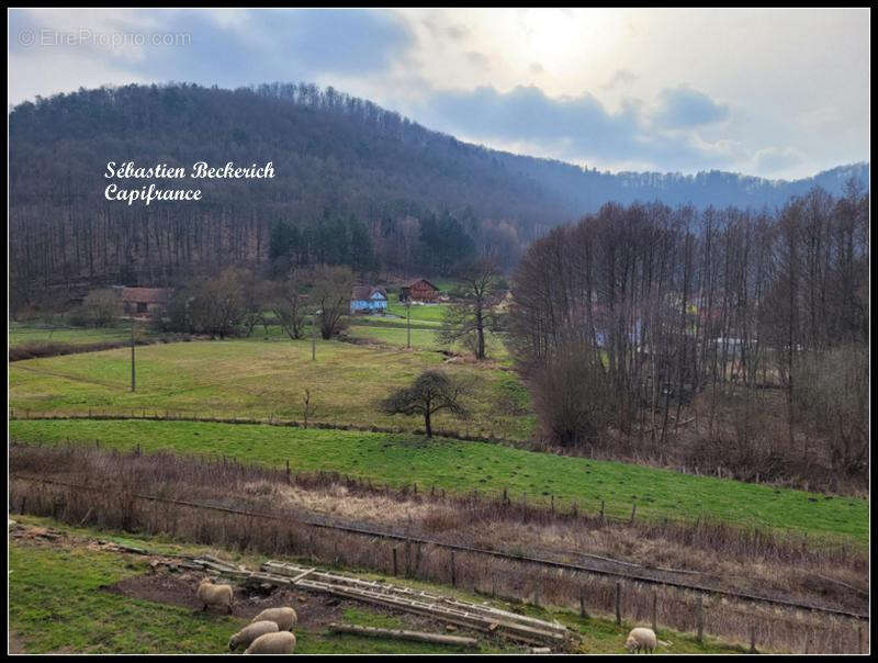 Maison à PHILIPPSBOURG