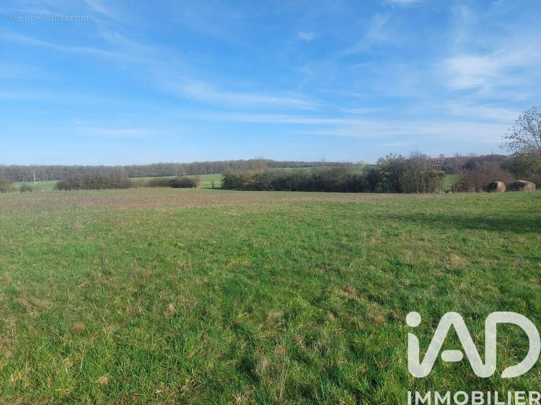 Photo 3 - Terrain à ETAIN
