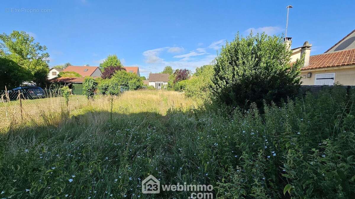 Un jardin plat.