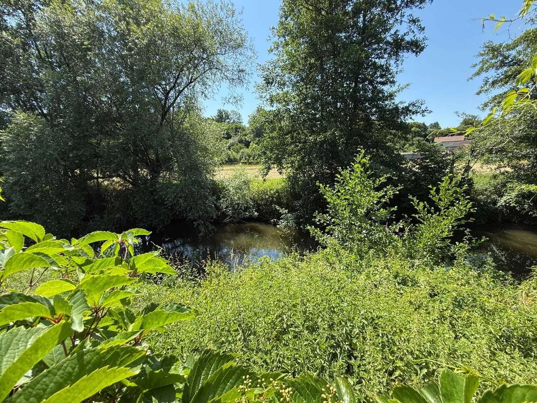 Magnifique manoir original dans un grand village avec toutes les commodités, situé au bord de la Saône - photo 36