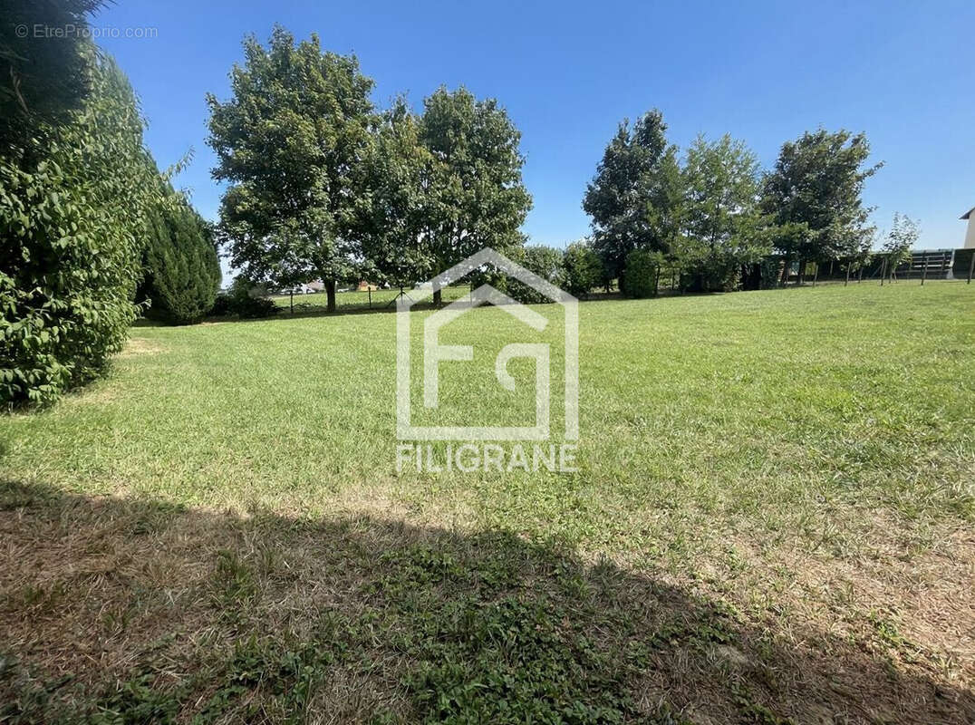 Terrain à SCHNERSHEIM