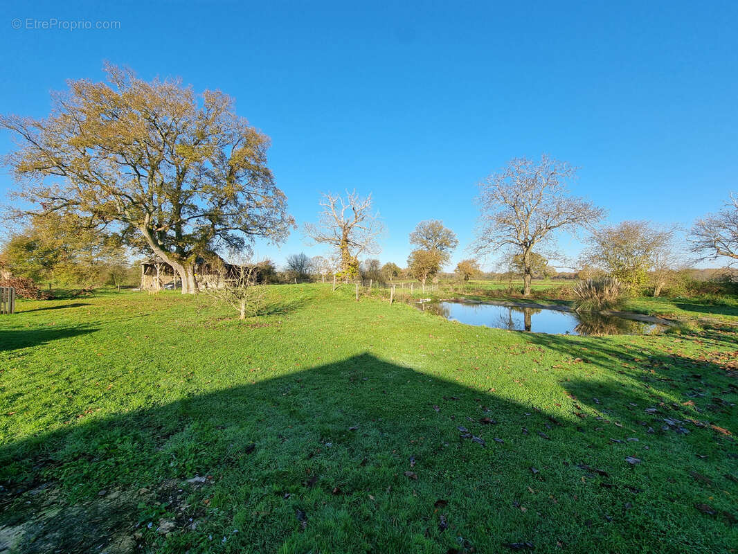Maison à LES FORGES