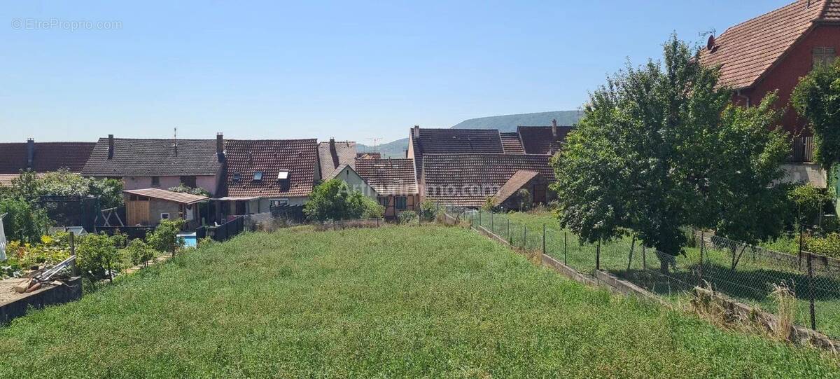Terrain à OBERMORSCHWIHR