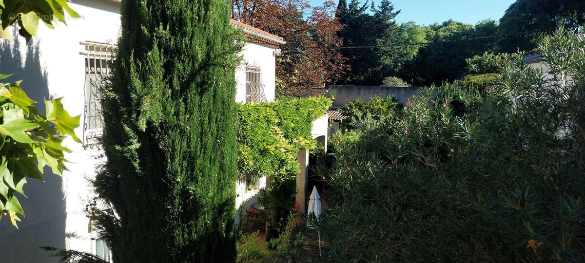 Maison à FONTVIEILLE