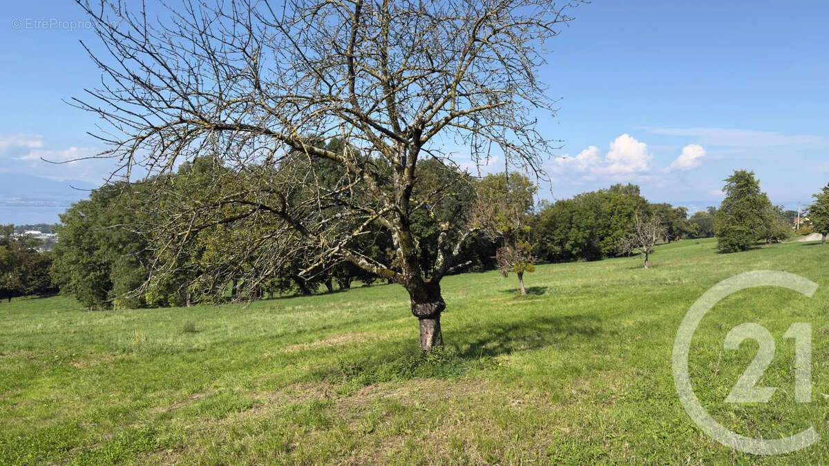 Appartement à MARIN