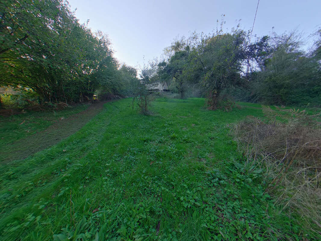 Maison à MOUTERRE-SUR-BLOURDE