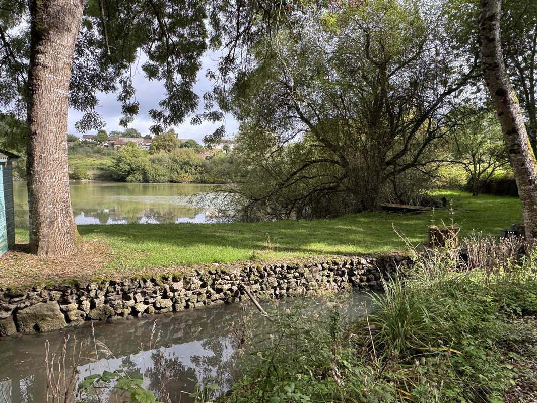 Terrain à CHAPELLE-VIVIERS
