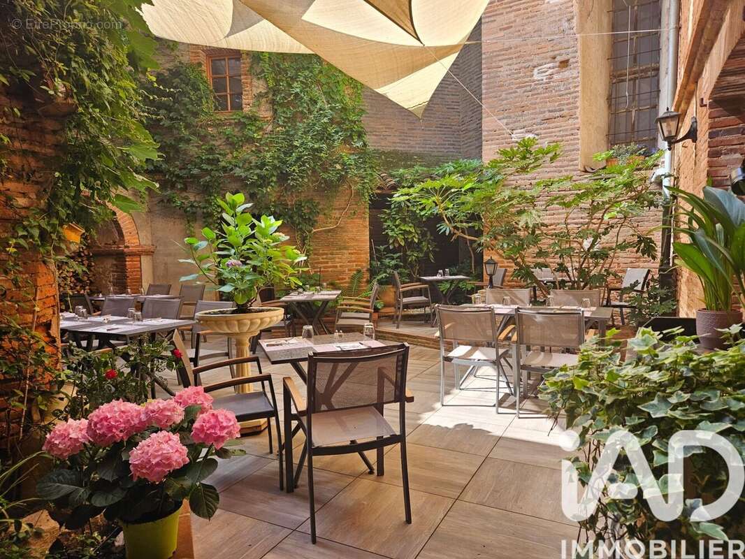 Photo 6 - Appartement à LISLE-SUR-TARN