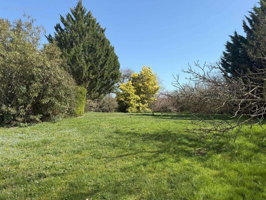 Maison à VALENCE-SUR-BAISE