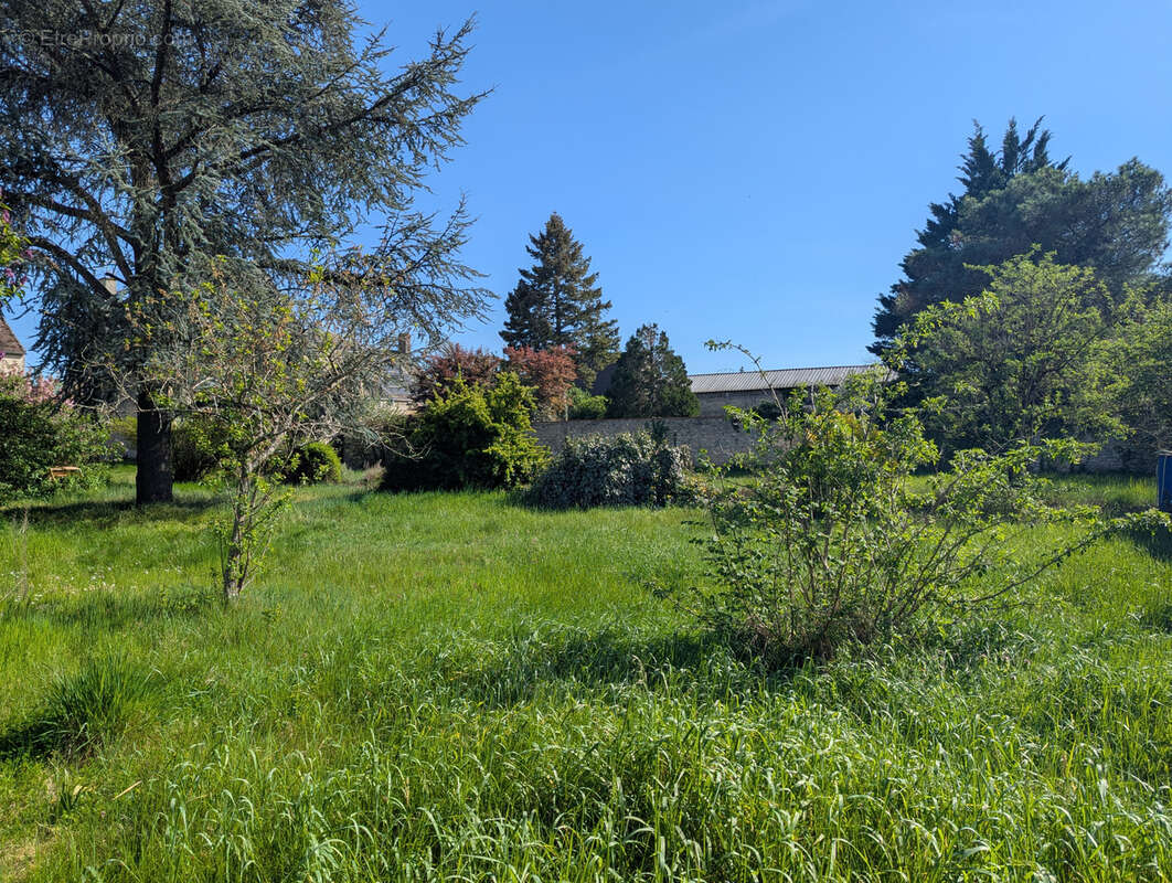 Terrain à SOLTERRE