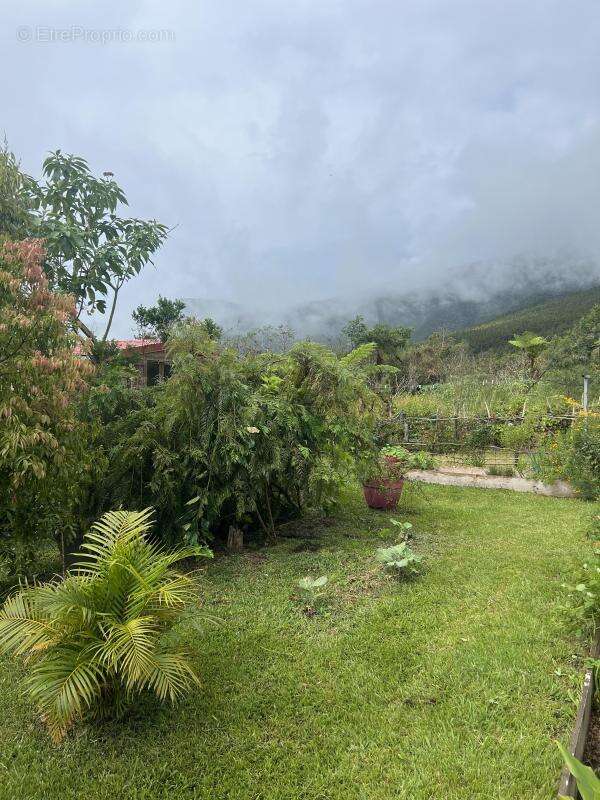 Maison à LA PLAINE-DES-PALMISTES