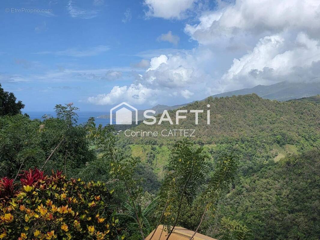 Photo 1 - Maison à LE MORNE-VERT