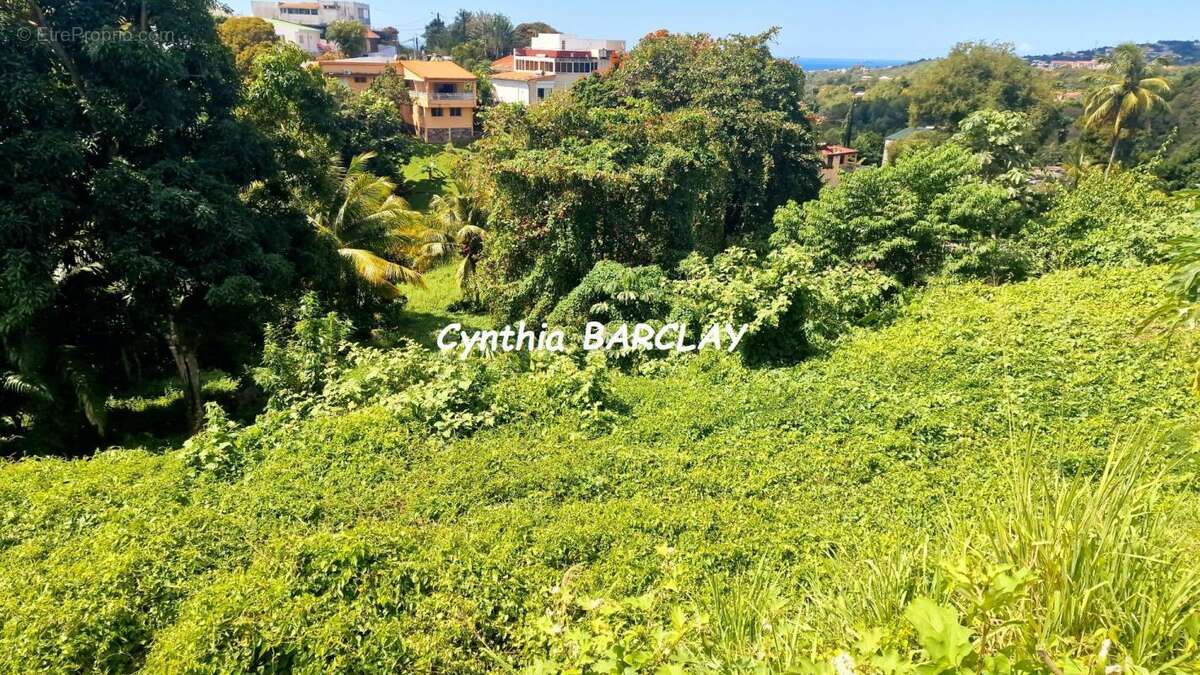 Terrain à FORT-DE-FRANCE