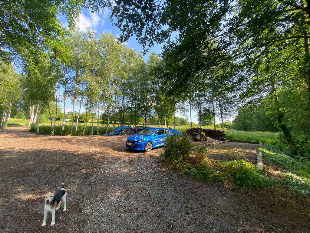 Terrain à LA FERTE-MACE