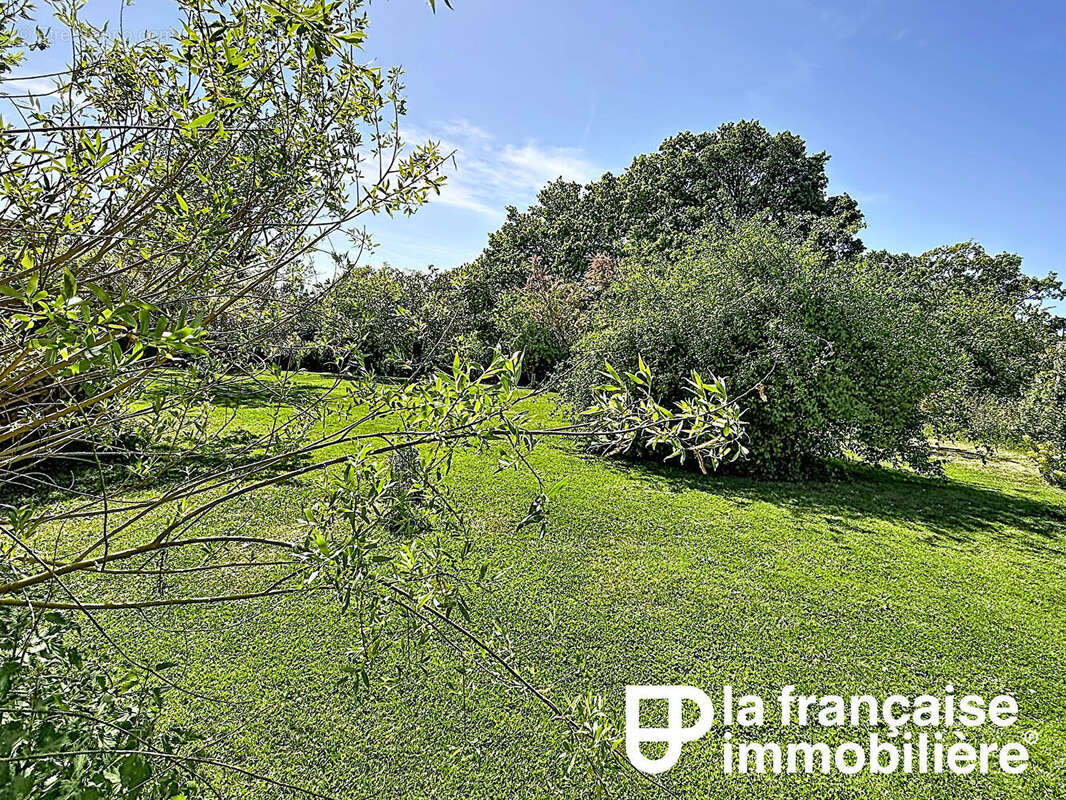 Hameau paisible - photo 15