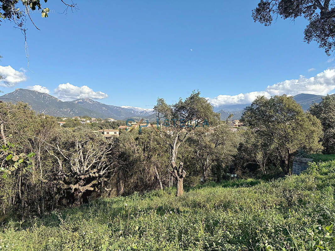 Terrain à GROSSETO-PRUGNA