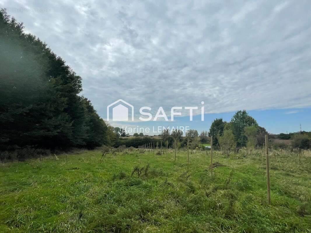 Photo 3 - Terrain à BAVAY