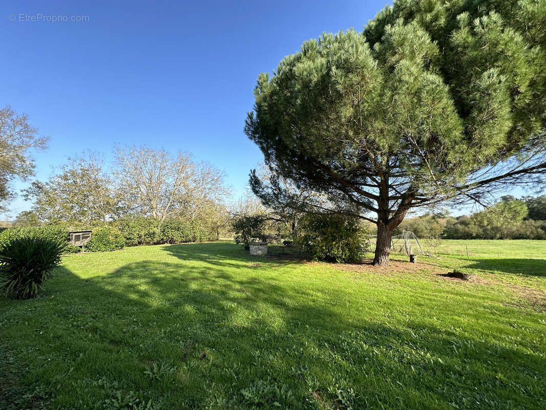 Maison à ALLEMANS-DU-DROPT