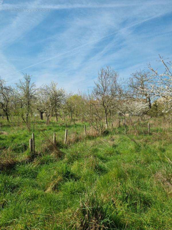 FERMETTE 70 m² avec une TRES BELLE GRANGE refaite a neuf - photo 11