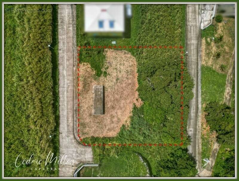 Terrain de 1232 m² vue mer au Lorrain – Lotissement La Crabière - photo 3