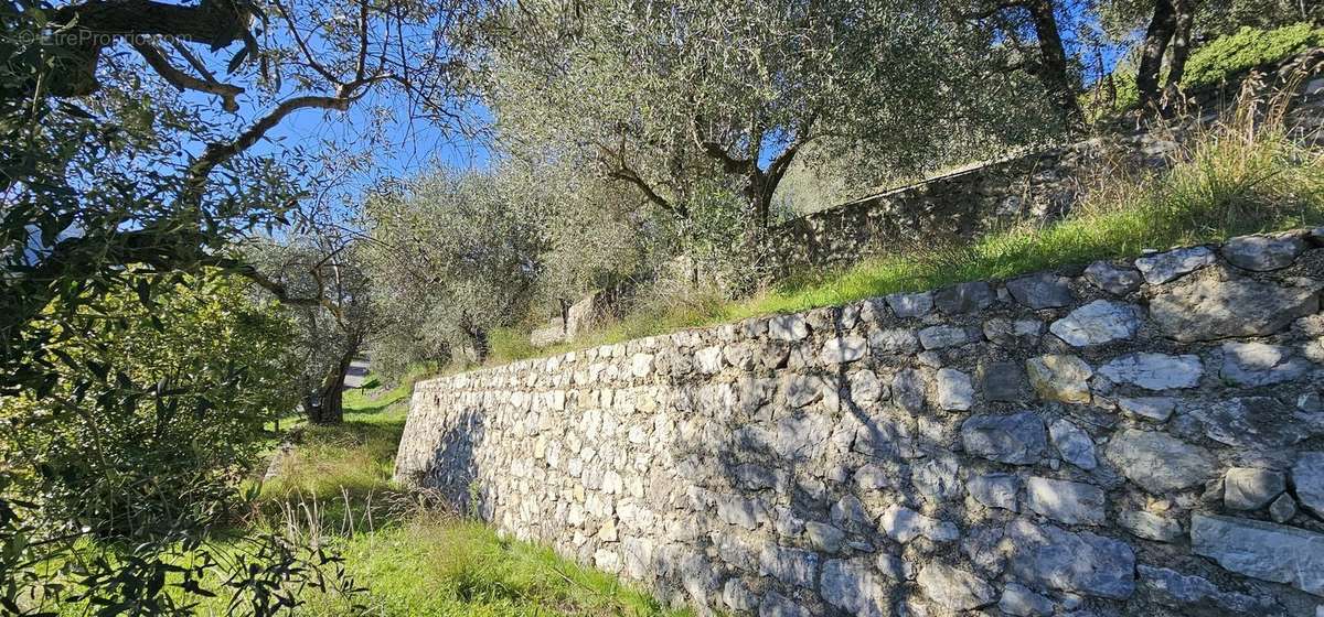 Terrain à TOURRETTE-LEVENS