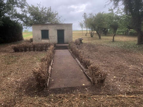 Terrain à SAINT-GEORGES-LES-BAILLARGEAUX